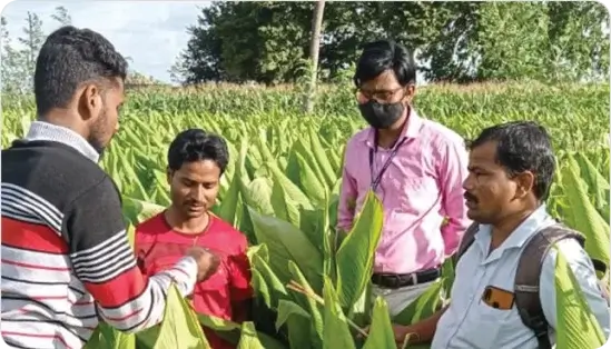 Enhancing productivity through Climate Smart Agriculture